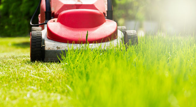 Cutting grass with lawn mower