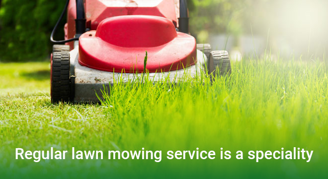 Regular Lawn Mowing Service is a Speciality Regular Lawn Mowing Service is a Speciality - picture of lawn mower with the text overlaid.